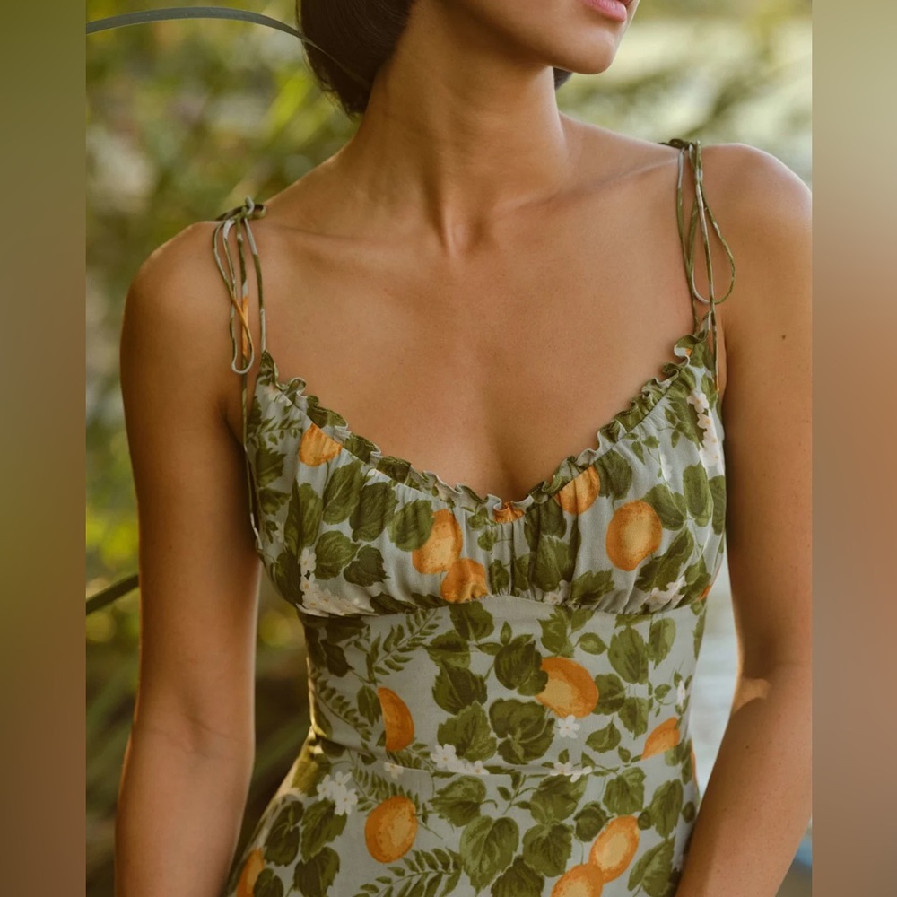 NWOT- Reformation Embry Dress In Chantelle